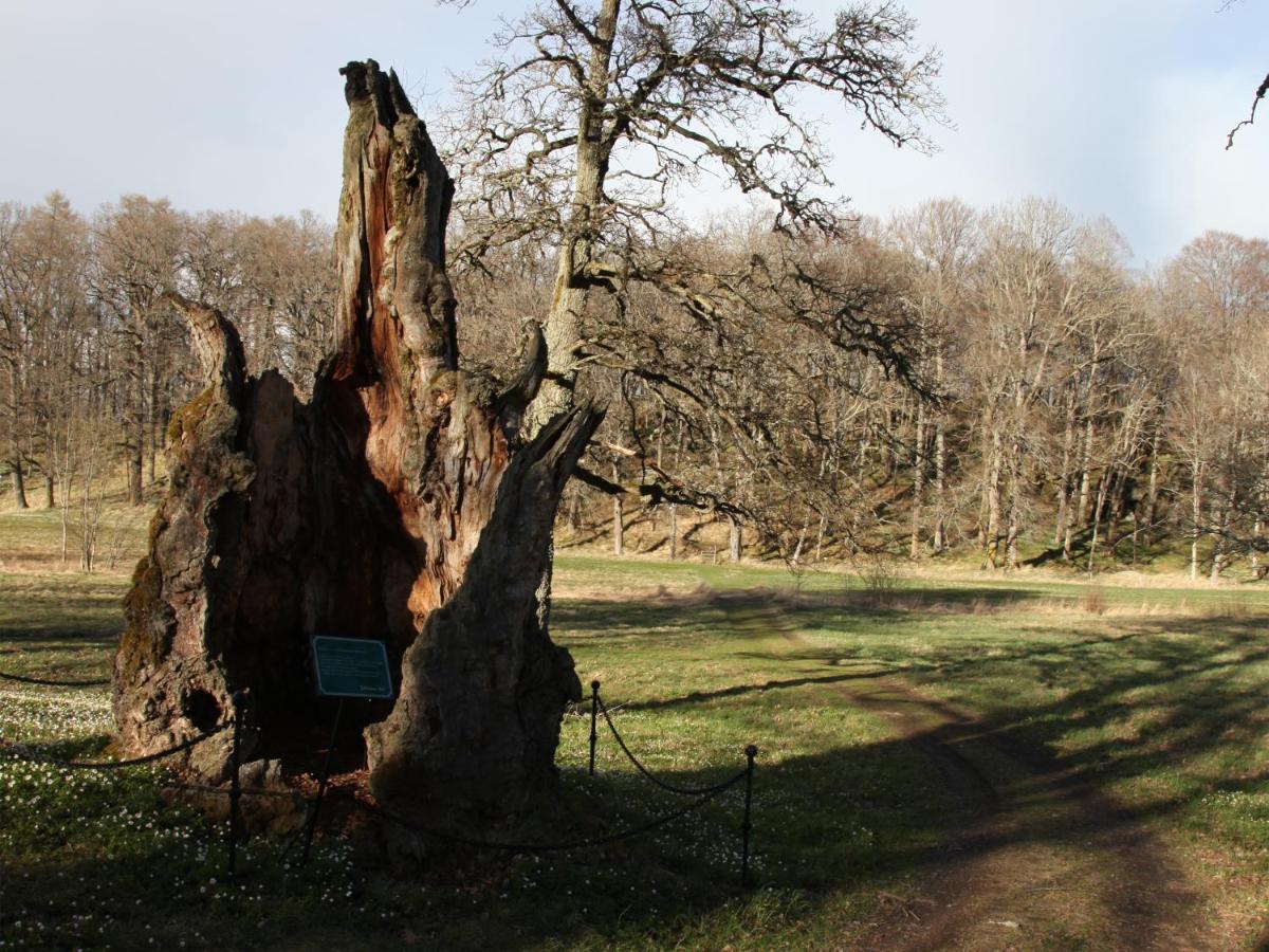 Soedertuna Slott Gnesta Zewnętrze zdjęcie